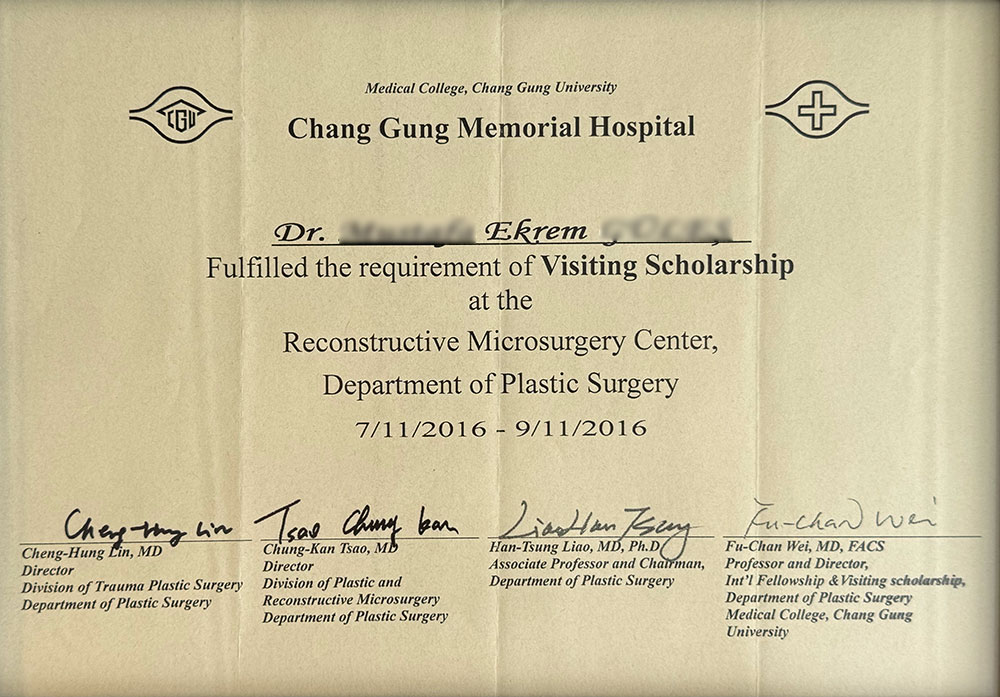 dr ekrem chang gung visiting scholarship